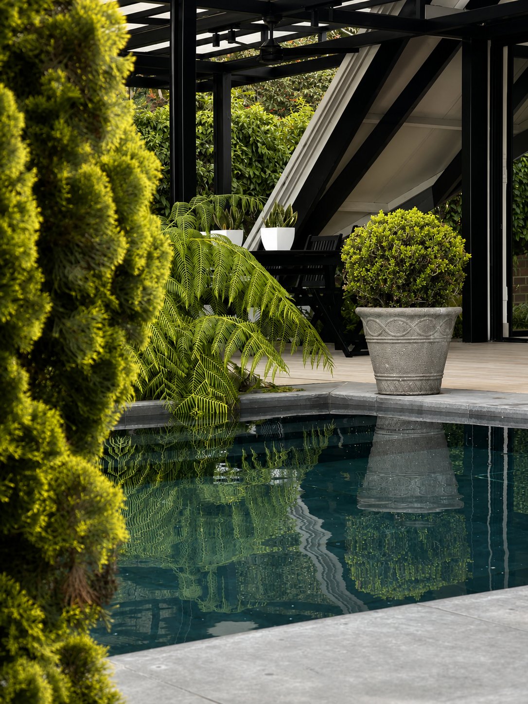 Detalle piscina y jardín